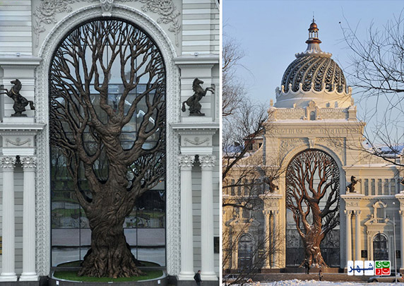 درختی که در ساختمان وزارت کشاورزی روسیه ریشه دوانده