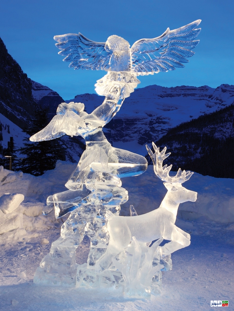 برترین‌های فستیوال مجسمه‌های یخی