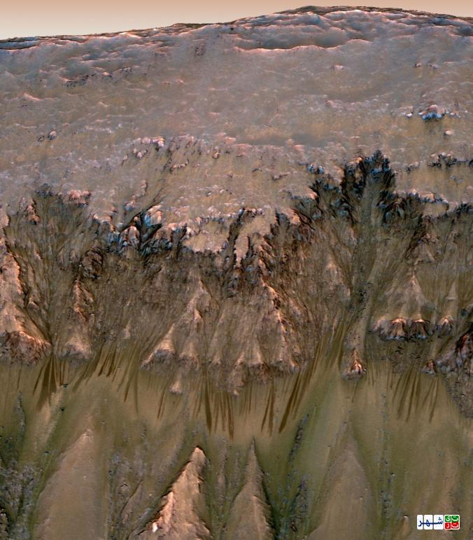 احتمال اثبات حیات در مریخ