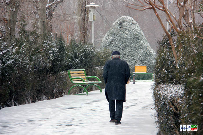 سنگینی برف کمر درختان کهنسال پارک شهر را خم کرد/ تا پایان برف روبی درهای این بوستان بسته خواهد بود