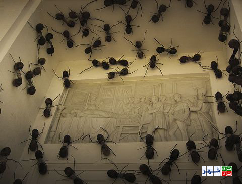 حمله مورچه‌های غول‌پیکر به ساختمان ریاست جمهوری کلمبیا