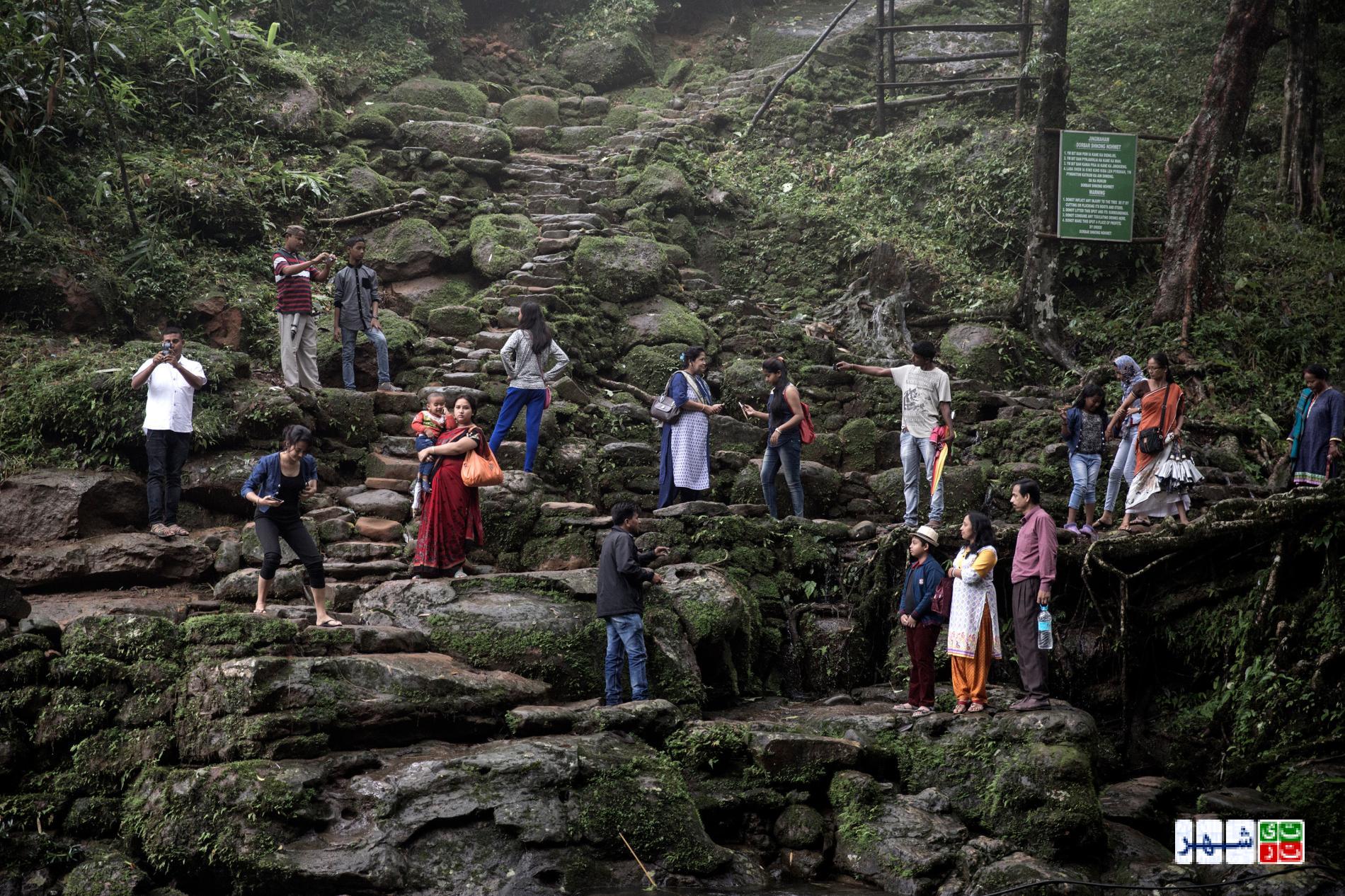 رابطه صمیمی هندی‌ها با جنگل