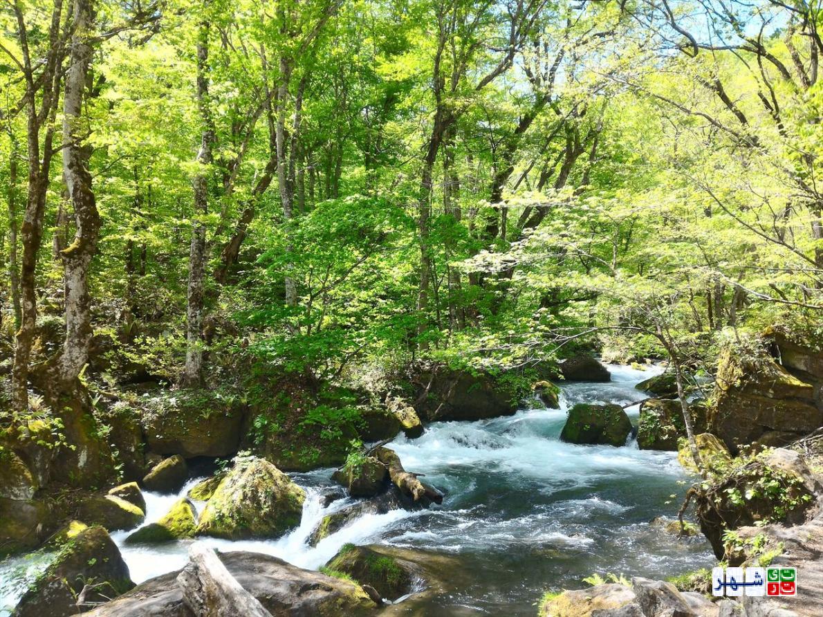 هشت چیز که فقط در پارک‌های ملی ژاپن دیده می‌شود