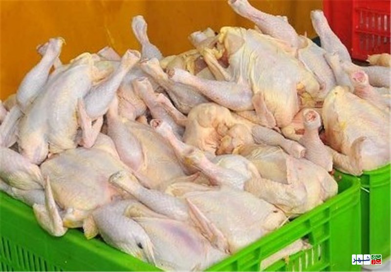 قیمت هر کیلو مرغ به ۸۶۰۰ تومان رسید