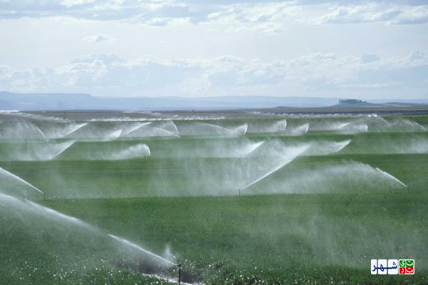 بهینه سازی و کاهش مصرف آب در بخش کشاورزی