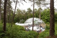 بزرگترین پارادوکس جهان / فستیوال فرهنگی هلند در جنگل