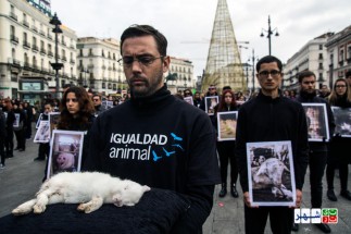 تظاهرات فعالان حقوق حیوانات