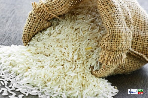 دولت واردات برنج را آزاد کرد
