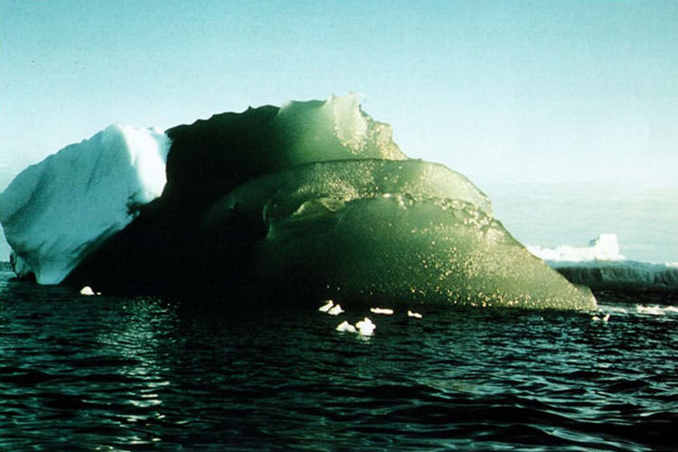 معمای کوه‌های یخی سبزرنگ قطب جنوب