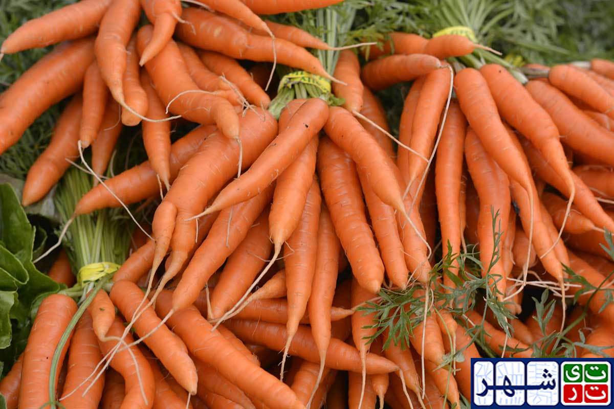 هویج بتن را قوی تر و پایدارتر می کند؟