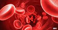 کمیاب ترین گروه خونی در کشور کدام است؟ / مشارکت بانوان ایرانی در اهدای خون