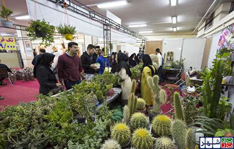 نمایشگاه گل و گیاه و گیاهان داروئی در همدان
