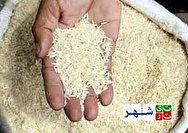 ارز واردات برنج همچنان ۴,۲۰۰ تومان است