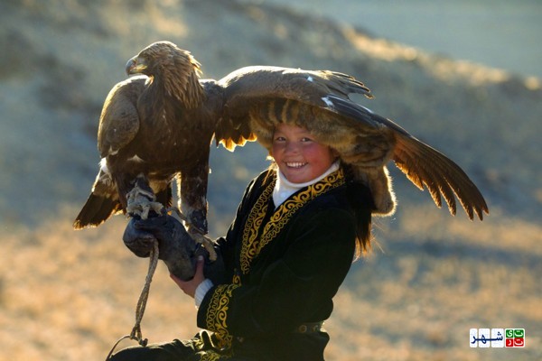 عقاب، بزرگ‌ ترین و نیرومندترین پرنده ی جهان