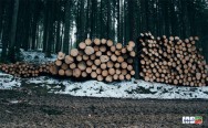 تزریق مایع زباله‌های ارگانیک ؛ جایگزینی مناسب برای چوب درختان
