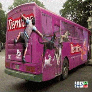 تبلیغات اتوبوسی از هجمه های رسانه ای تا واقعیت های پیش روی شهرداری