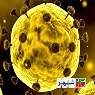 ویروس کرونا در چین همچنان قربانی می‌گیرد