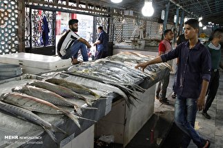 وضعیت بازار فروش ماهی در بندرعباس